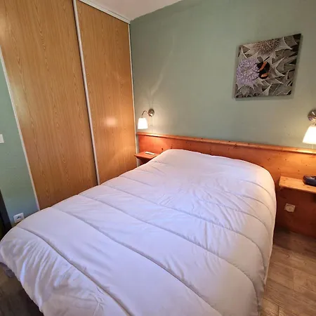 Apartment 2 Pieces Pour 4 Pers. Avec Acces Direct Pistes Et Telecabine A - Fr-1-265-313