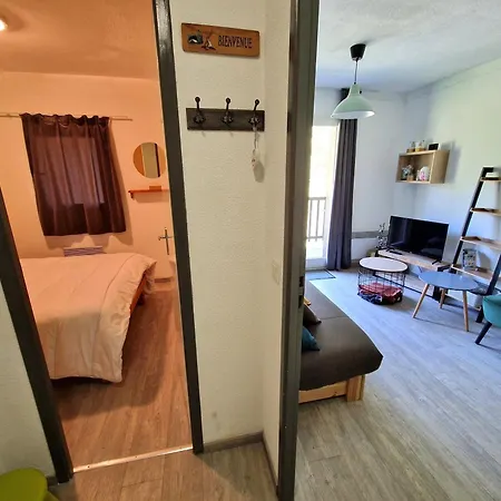 Apartment 2 Pieces Pour 4 Pers. Avec Acces Direct Pistes Et Telecabine A - Fr-1-265-313